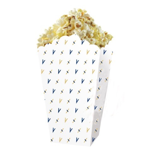 REGULAR SALTED POPCORN